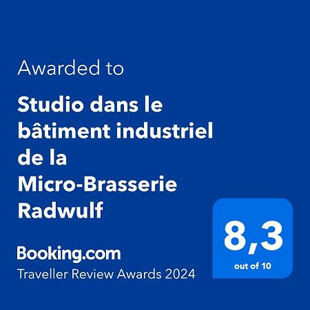 Studio Dans Le Batiment Industriel De La Micro-Brasserie Radwulf Apartment Vieux-Ferrette Ngoại thất bức ảnh